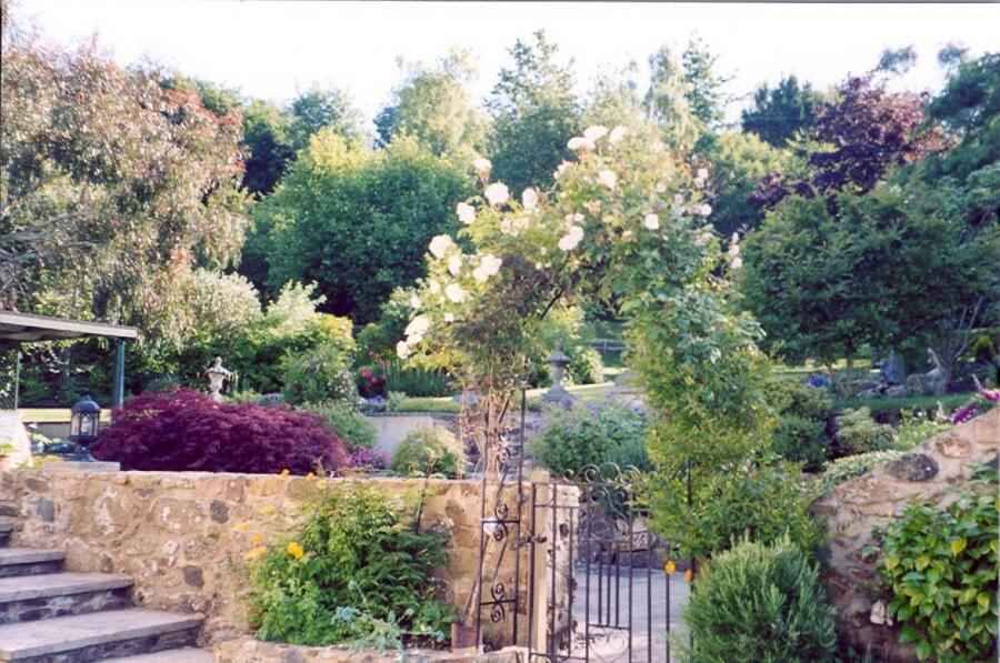 Garden open for Charity - WHITSTONE FARM image 1