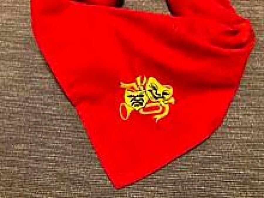 Scouts and Guides GANG SHOW image 1