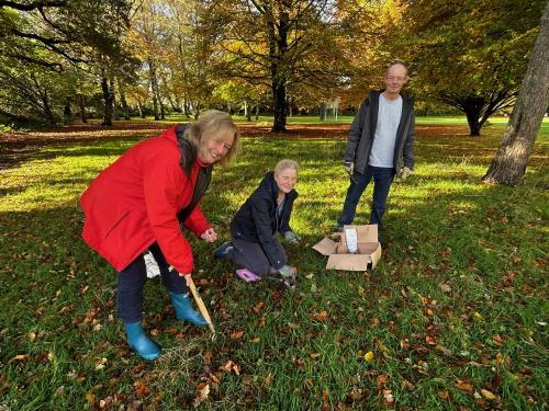 Blooming marvellous response to Bovey Tracey bulb-planting and litter-pick image 4