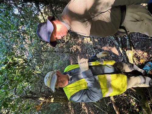 Volunteers clear litter from Bovey Tracey woodland image 3