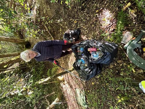 Volunteers clear litter from Bovey Tracey woodland image 5