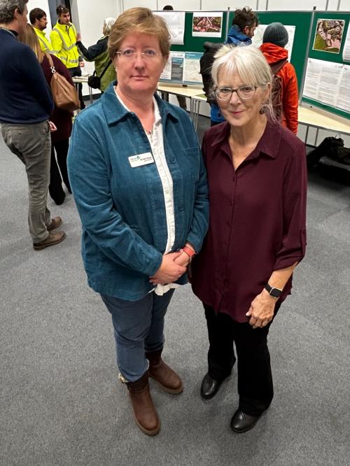 A382 Better communications promised image 1