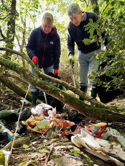 Volunteers clear litter from Bovey Tracey woodland image 2