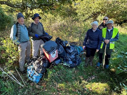 Volunteers clear litter from Bovey Tracey woodland image 1