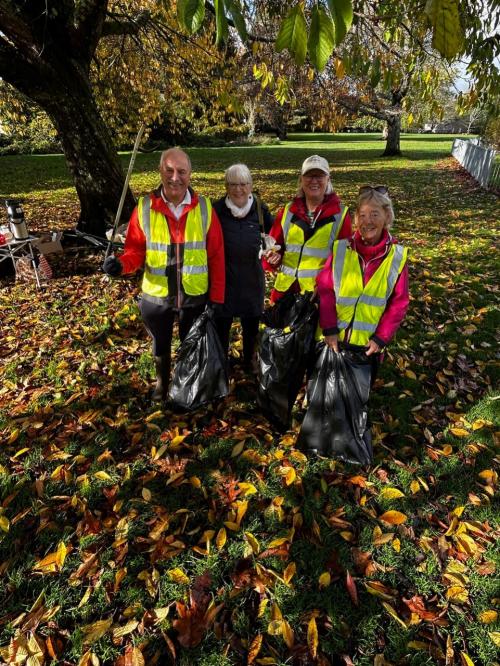 Blooming marvellous response to Bovey Tracey bulb-planting and litter-pick image 1