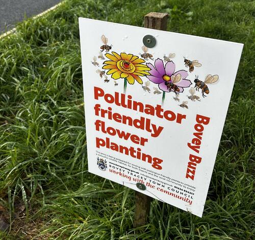 Roadside verges in Bovey Tracey to get eco boost image 1
