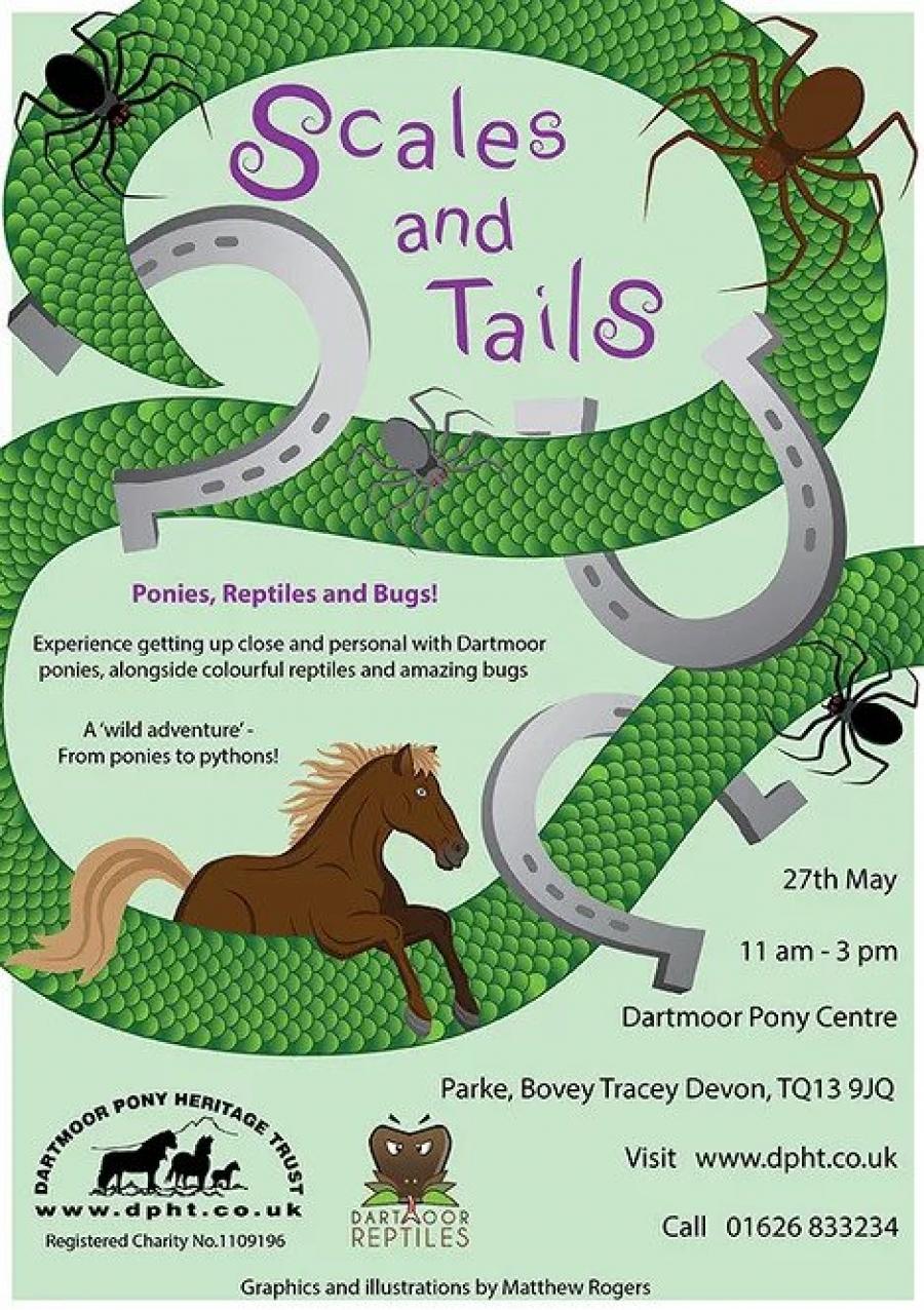 Scales and Tails image 1