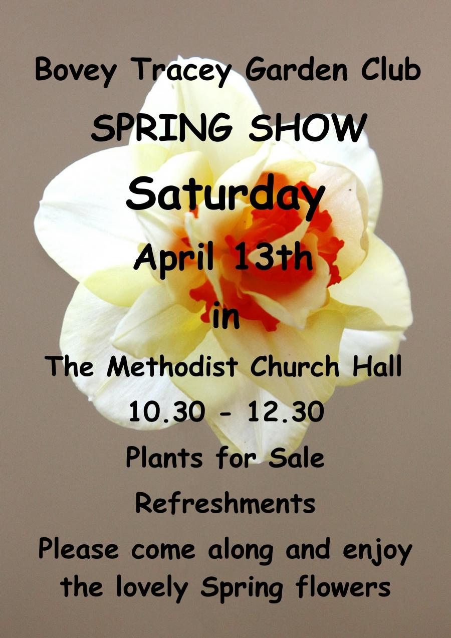 Bovey Tracey Garden Club Spring Show image 1