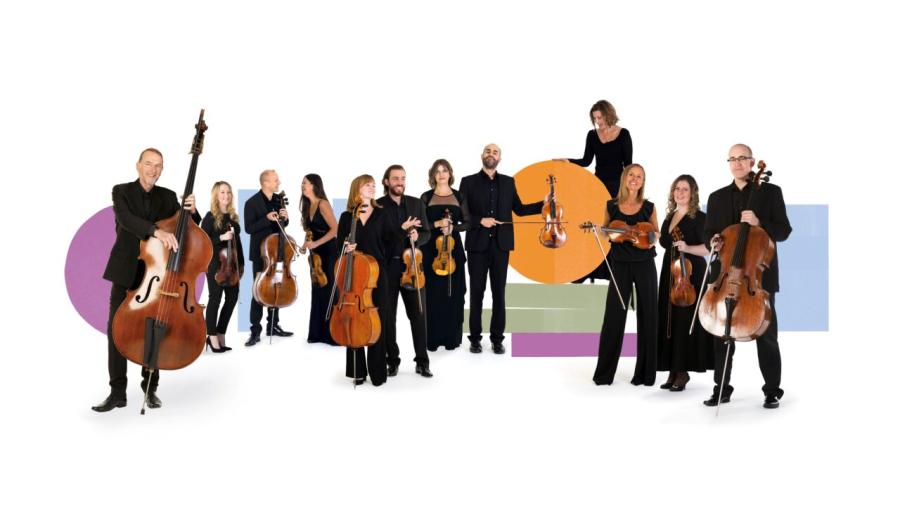 Bournemouth Symphony Orchestra image 1