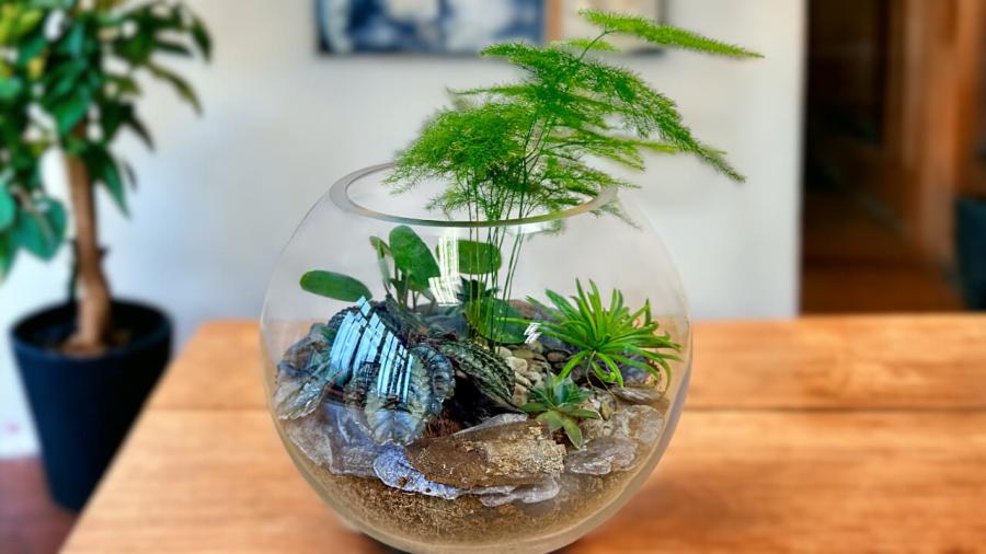 Glass Terrarium Making with Prosecco at House of Marbles image 1