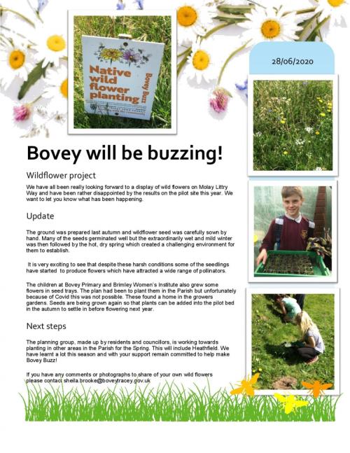 Bovey Buzz! image 1