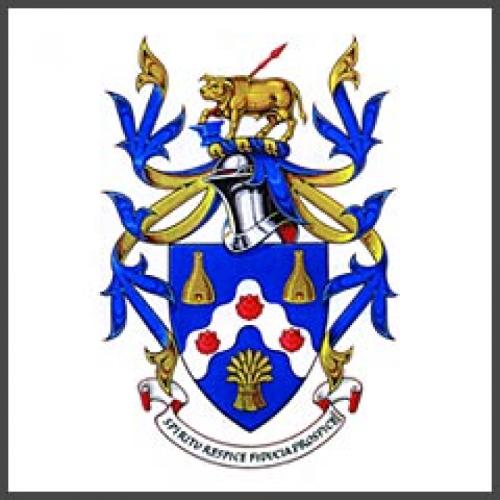 BECOME A COUNCILLOR image 1