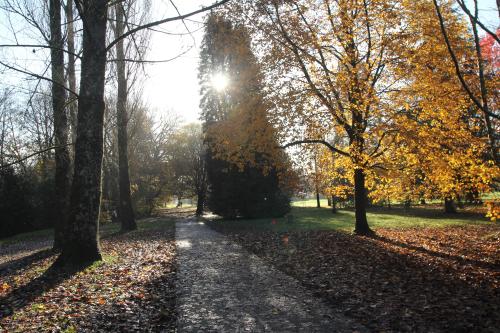 Tender for Grounds Maintenance Contract Jan 25 - Jan 27 image 1
